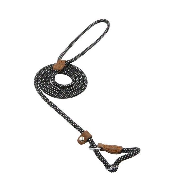 Nylon Collar & Lead Set