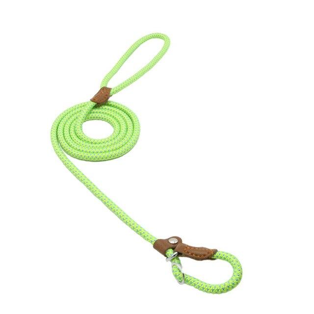 Nylon Collar & Lead Set