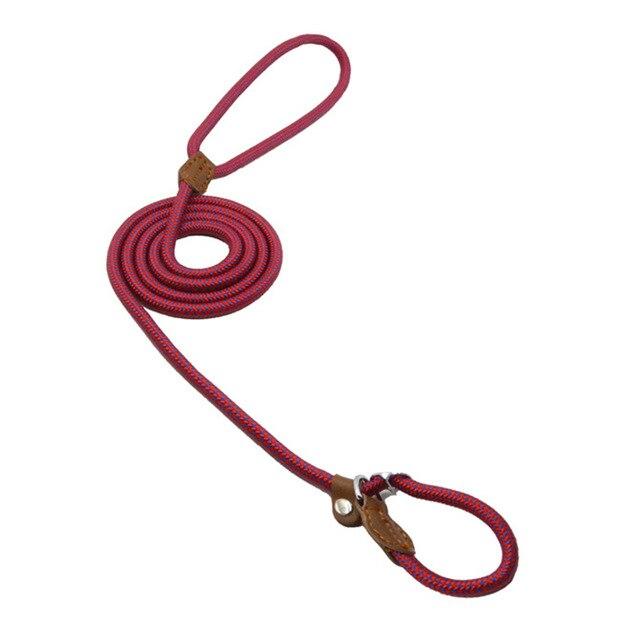 Nylon Collar & Lead Set