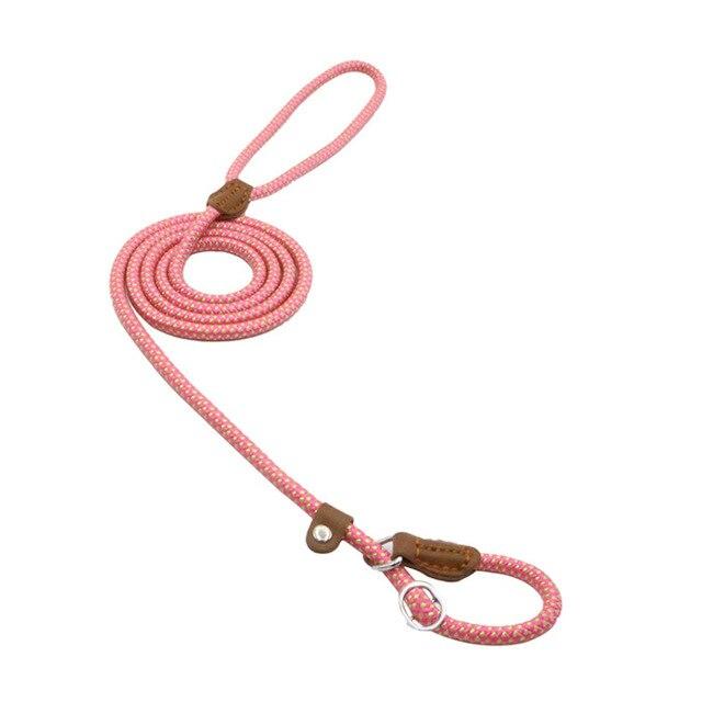 Nylon Collar & Lead Set