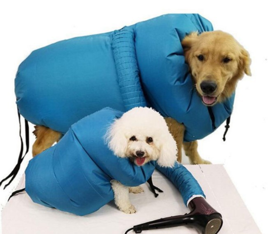 Two dogs in bright blue drying bags, one larger and one smaller, with a pet dryer nearby, showcasing the Pet Drying Box by Pu