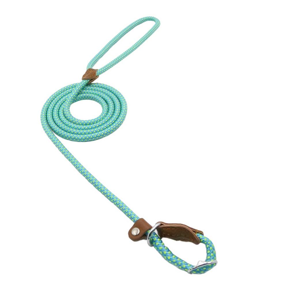 Nylon Collar & Lead Set