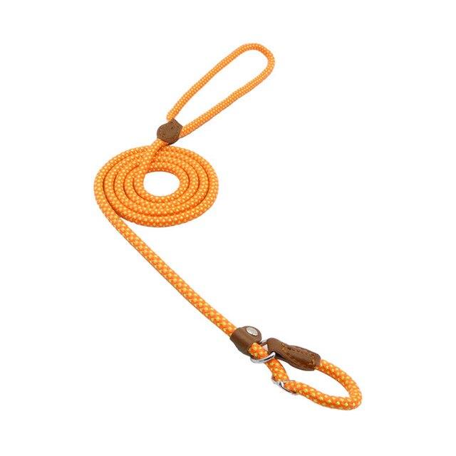 Nylon Collar & Lead Set