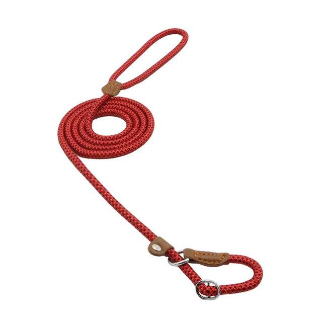 Nylon Collar & Lead Set